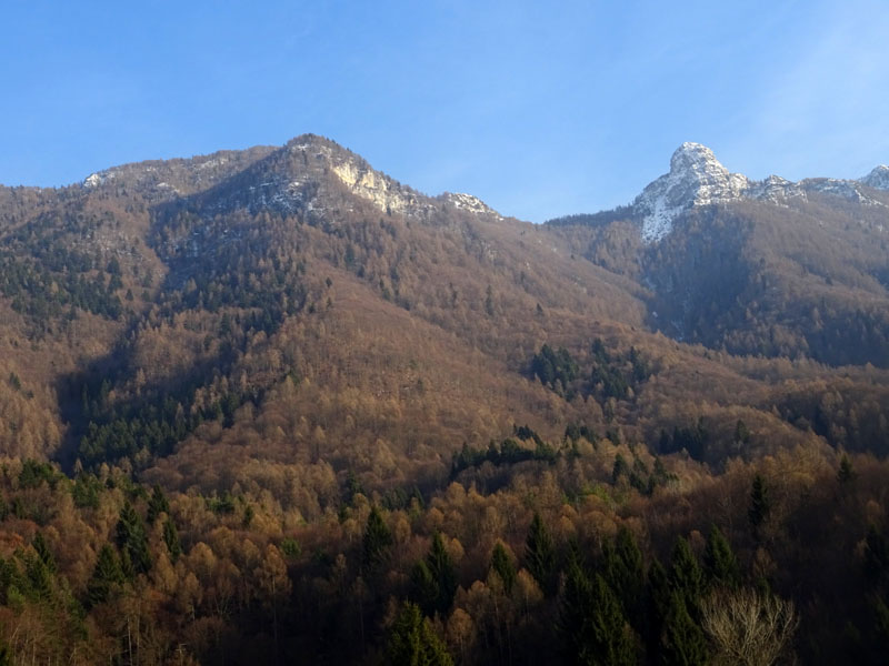 L''avez di Fontana Carboneri - Cavedine